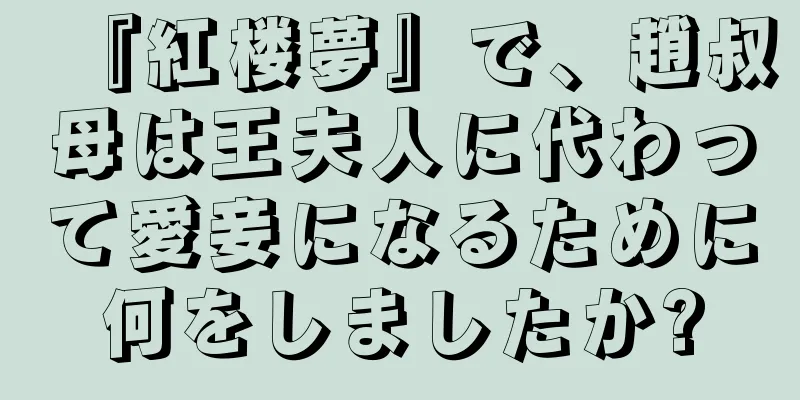 『紅楼夢』で、趙叔母は王夫人に代わって愛妾になるために何をしましたか?