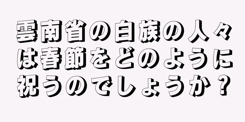 雲南省の白族の人々は春節をどのように祝うのでしょうか？