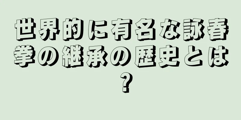 世界的に有名な詠春拳の継承の歴史とは？