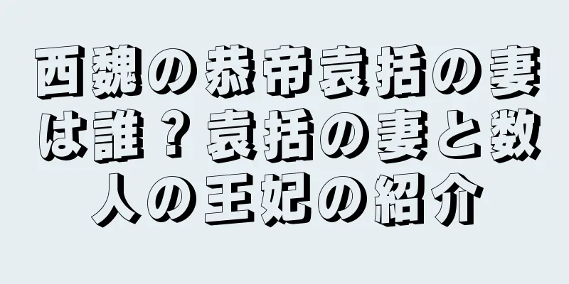 西魏の恭帝袁括の妻は誰？袁括の妻と数人の王妃の紹介