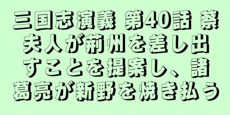 三国志演義 第40話 蔡夫人が荊州を差し出すことを提案し、諸葛亮が新野を焼き払う