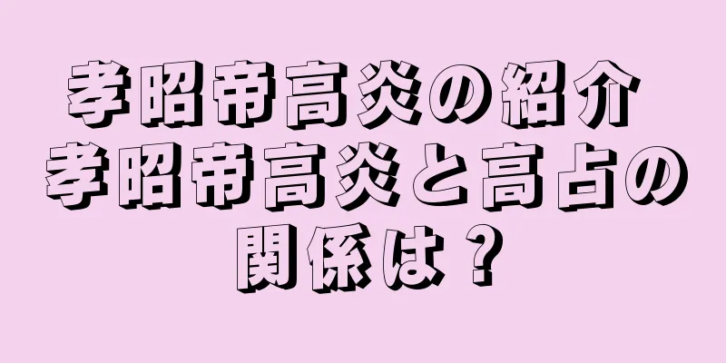 孝昭帝高炎の紹介 孝昭帝高炎と高占の関係は？