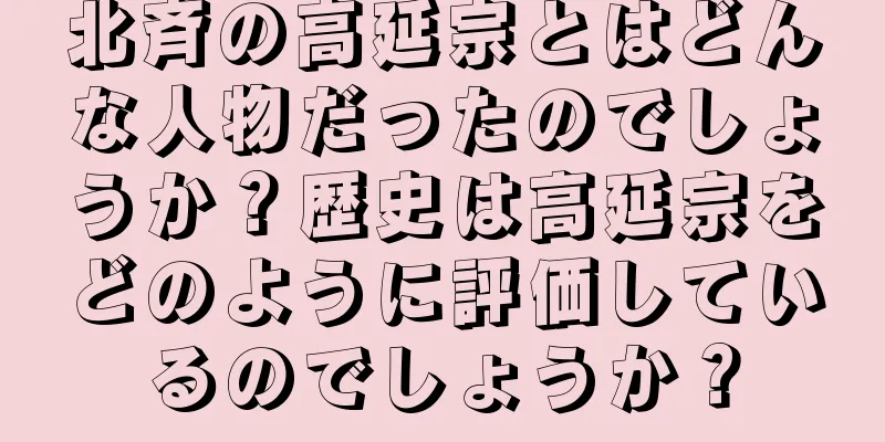 北斉の高延宗とはどんな人物だったのでしょうか？歴史は高延宗をどのように評価しているのでしょうか？