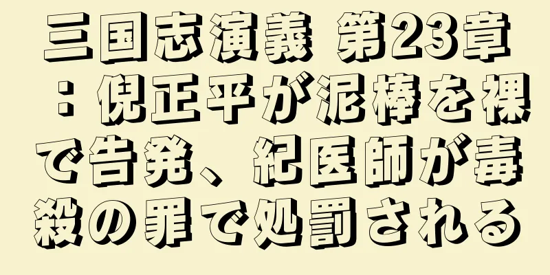 三国志演義 第23章：倪正平が泥棒を裸で告発、紀医師が毒殺の罪で処罰される