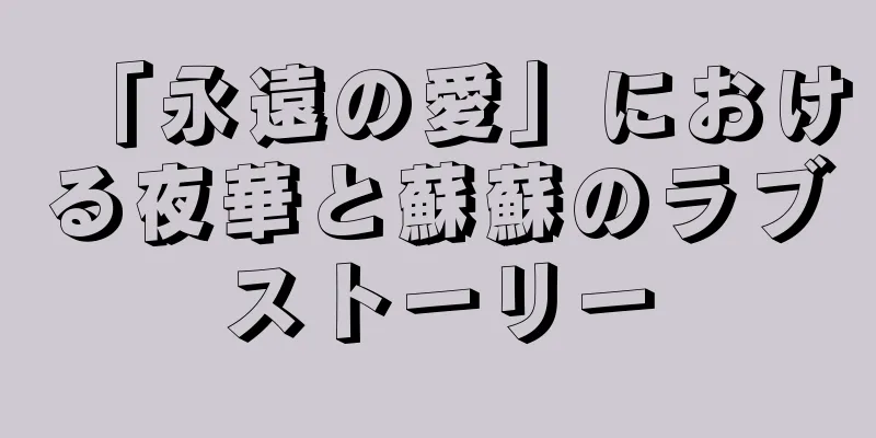 「永遠の愛」における夜華と蘇蘇のラブストーリー