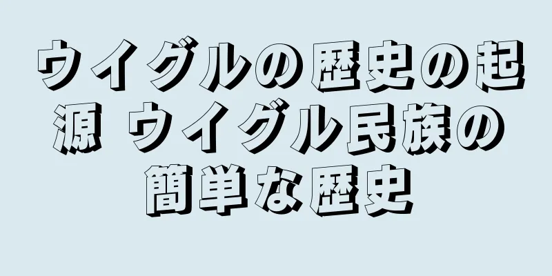 ウイグルの歴史の起源 ウイグル民族の簡単な歴史
