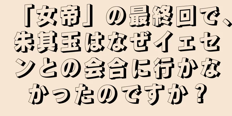 「女帝」の最終回で、朱其玉はなぜイェセンとの会合に行かなかったのですか？