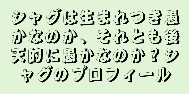 シャグは生まれつき愚かなのか、それとも後天的に愚かなのか？シャグのプロフィール
