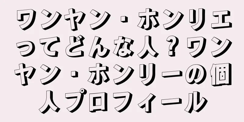 ワンヤン・ホンリエってどんな人？ワンヤン・ホンリーの個人プロフィール