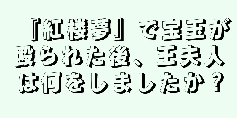 『紅楼夢』で宝玉が殴られた後、王夫人は何をしましたか？