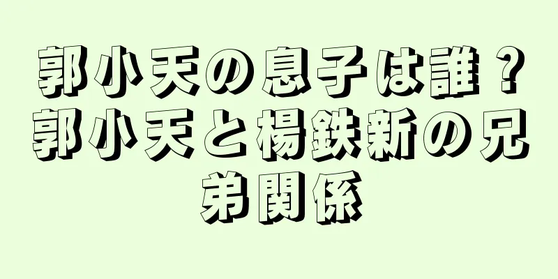 郭小天の息子は誰？郭小天と楊鉄新の兄弟関係