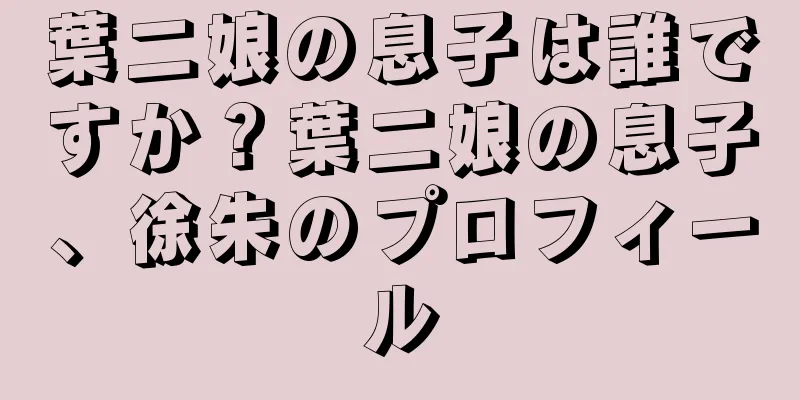 葉二娘の息子は誰ですか？葉二娘の息子、徐朱のプロフィール