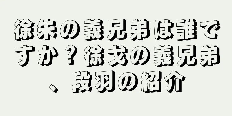 徐朱の義兄弟は誰ですか？徐戈の義兄弟、段羽の紹介