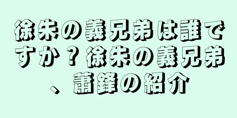 徐朱の義兄弟は誰ですか？徐朱の義兄弟、蕭鋒の紹介