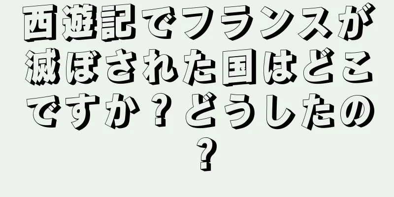 西遊記でフランスが滅ぼされた国はどこですか？どうしたの？