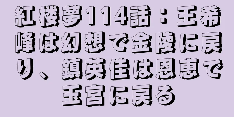 紅楼夢114話：王希峰は幻想で金陵に戻り、鎮英佳は恩恵で玉宮に戻る