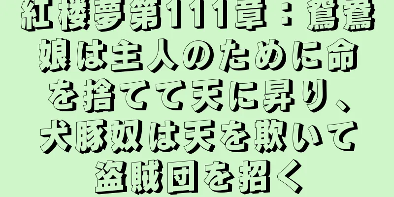 紅楼夢第111章：鴛鴦娘は主人のために命を捨てて天に昇り、犬豚奴は天を欺いて盗賊団を招く
