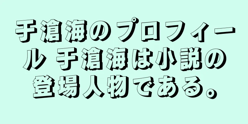 于滄海のプロフィール 于滄海は小説の登場人物である。