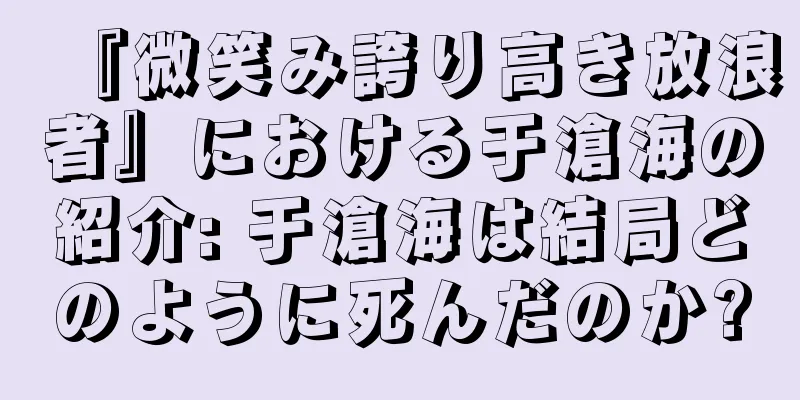 『微笑み誇り高き放浪者』における于滄海の紹介: 于滄海は結局どのように死んだのか?