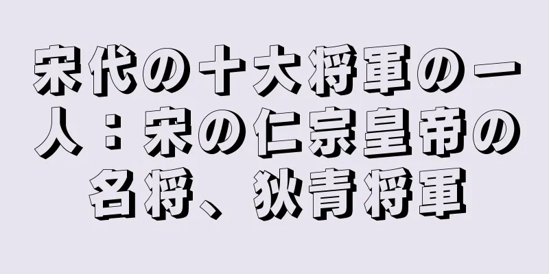 宋代の十大将軍の一人：宋の仁宗皇帝の名将、狄青将軍