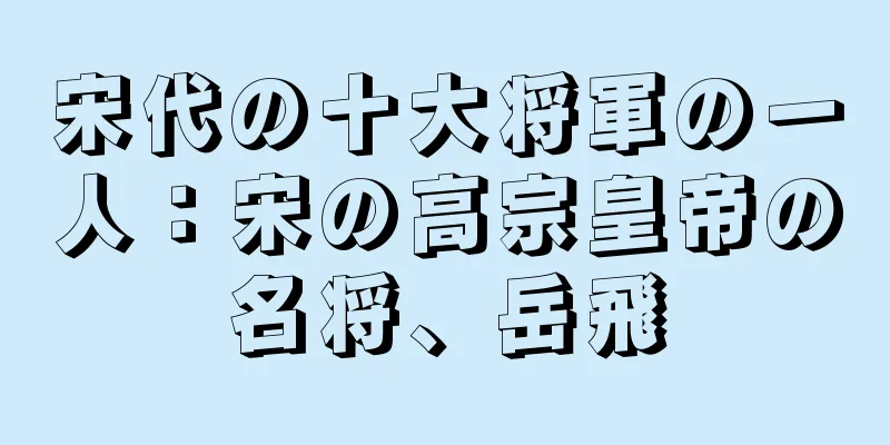 宋代の十大将軍の一人：宋の高宗皇帝の名将、岳飛