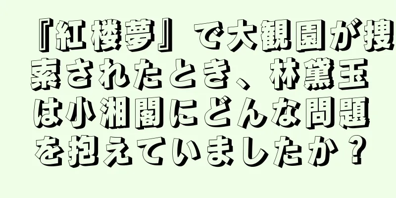 『紅楼夢』で大観園が捜索されたとき、林黛玉は小湘閣にどんな問題を抱えていましたか？