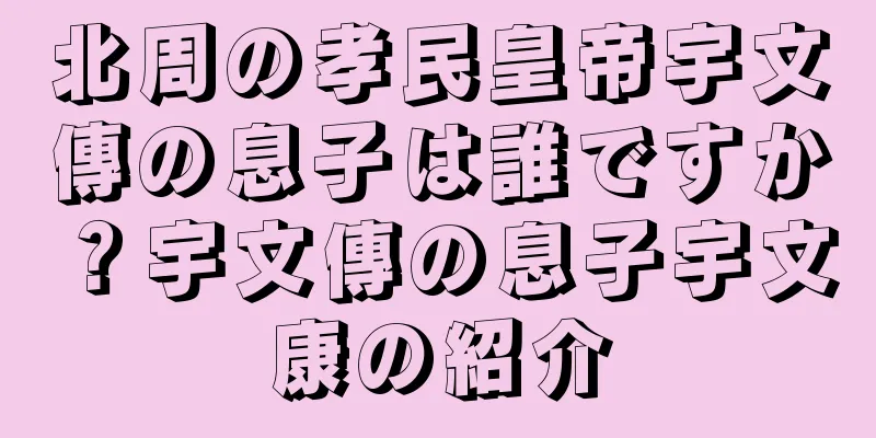 北周の孝民皇帝宇文傳の息子は誰ですか？宇文傳の息子宇文康の紹介