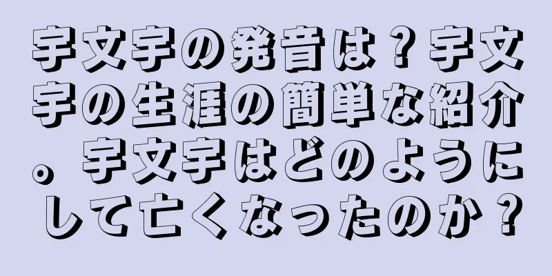宇文宇の発音は？宇文宇の生涯の簡単な紹介。宇文宇はどのようにして亡くなったのか？