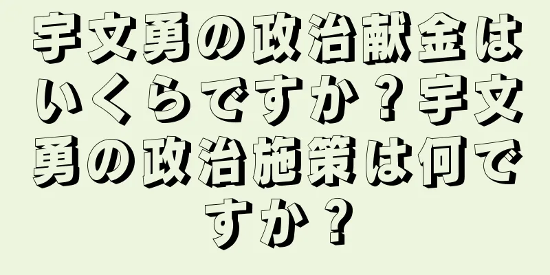 宇文勇の政治献金はいくらですか？宇文勇の政治施策は何ですか？