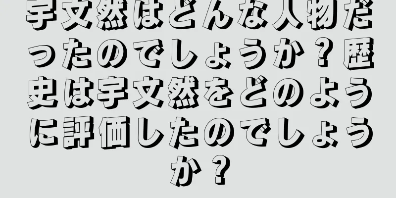宇文然はどんな人物だったのでしょうか？歴史は宇文然をどのように評価したのでしょうか？