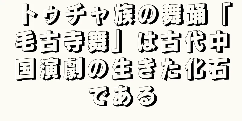 トゥチャ族の舞踊「毛古寺舞」は古代中国演劇の生きた化石である