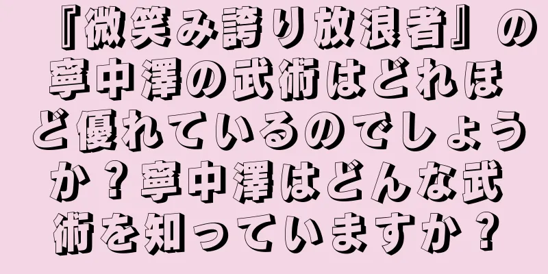 『微笑み誇り放浪者』の寧中澤の武術はどれほど優れているのでしょうか？寧中澤はどんな武術を知っていますか？