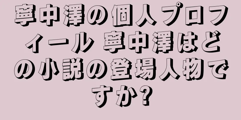 寧中澤の個人プロフィール 寧中澤はどの小説の登場人物ですか?