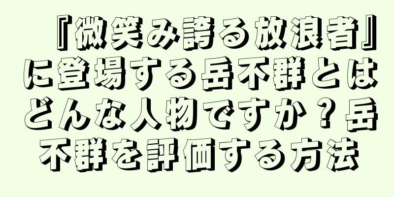 『微笑み誇る放浪者』に登場する岳不群とはどんな人物ですか？岳不群を評価する方法