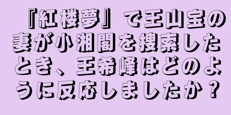 『紅楼夢』で王山宝の妻が小湘閣を捜索したとき、王希峰はどのように反応しましたか？