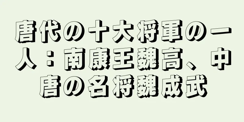 唐代の十大将軍の一人：南康王魏高、中唐の名将魏成武