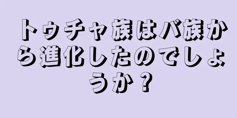 トゥチャ族はバ族から進化したのでしょうか？