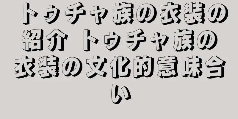 トゥチャ族の衣装の紹介 トゥチャ族の衣装の文化的意味合い