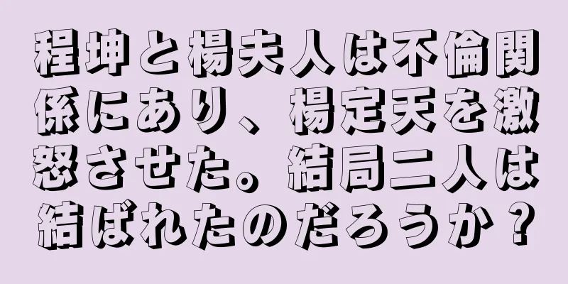 程坤と楊夫人は不倫関係にあり、楊定天を激怒させた。結局二人は結ばれたのだろうか？