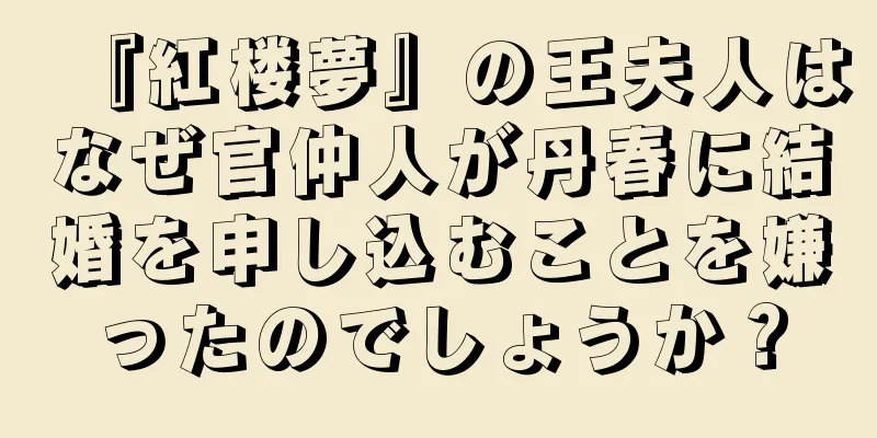 『紅楼夢』の王夫人はなぜ官仲人が丹春に結婚を申し込むことを嫌ったのでしょうか？