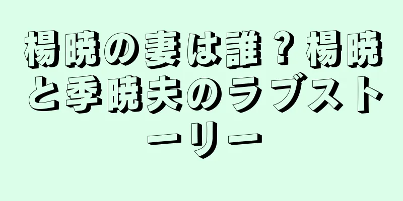 楊暁の妻は誰？楊暁と季暁夫のラブストーリー