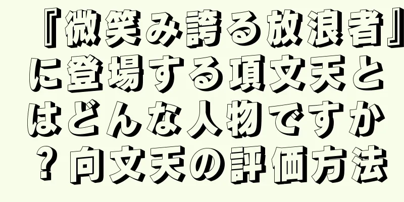 『微笑み誇る放浪者』に登場する項文天とはどんな人物ですか？向文天の評価方法