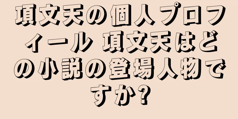 項文天の個人プロフィール 項文天はどの小説の登場人物ですか?