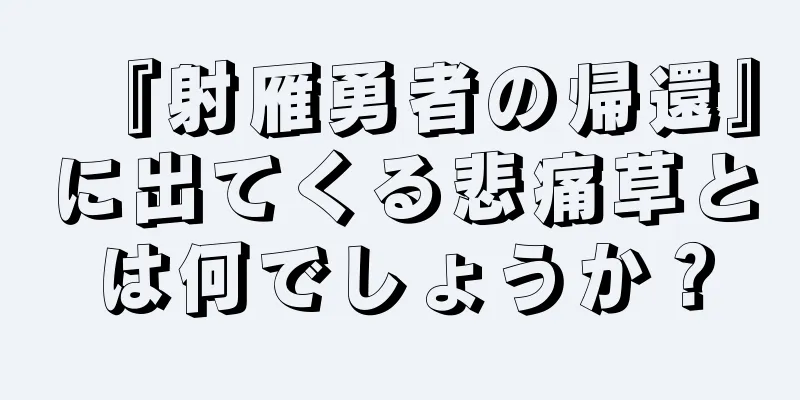 『射雁勇者の帰還』に出てくる悲痛草とは何でしょうか？