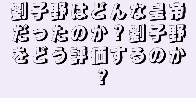 劉子野はどんな皇帝だったのか？劉子野をどう評価するのか？