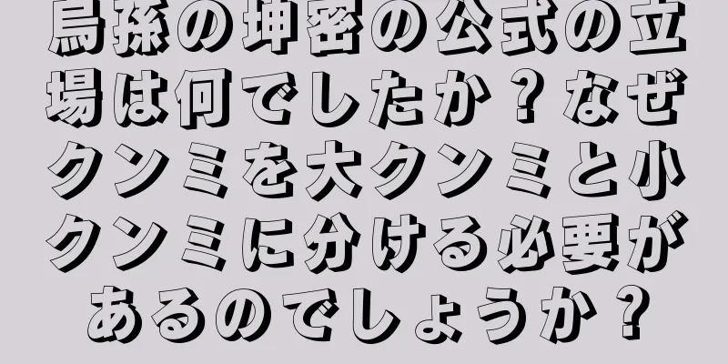 烏孫の坤密の公式の立場は何でしたか？なぜクンミを大クンミと小クンミに分ける必要があるのでしょうか？
