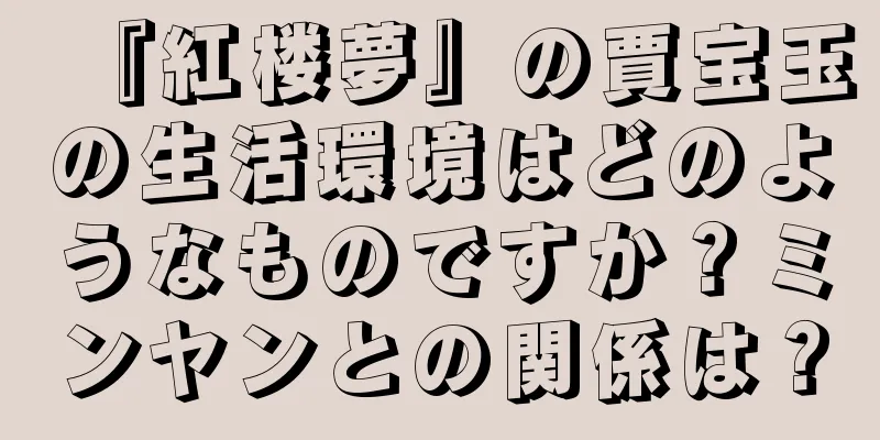 『紅楼夢』の賈宝玉の生活環境はどのようなものですか？ミンヤンとの関係は？