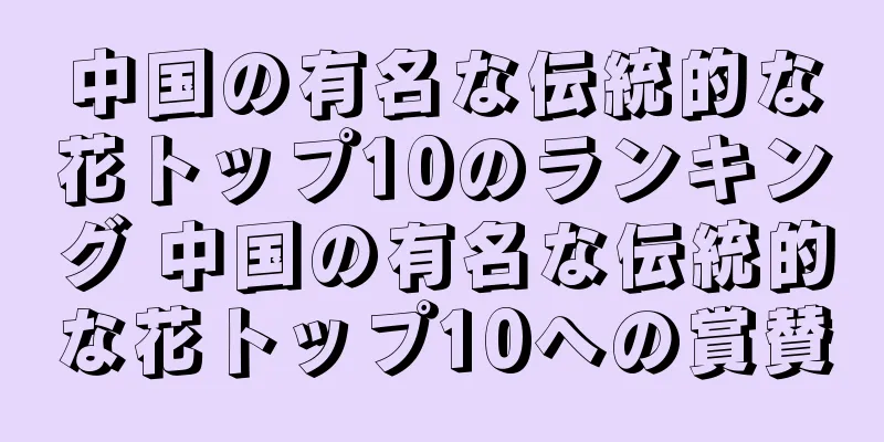 中国の有名な伝統的な花トップ10のランキング 中国の有名な伝統的な花トップ10への賞賛