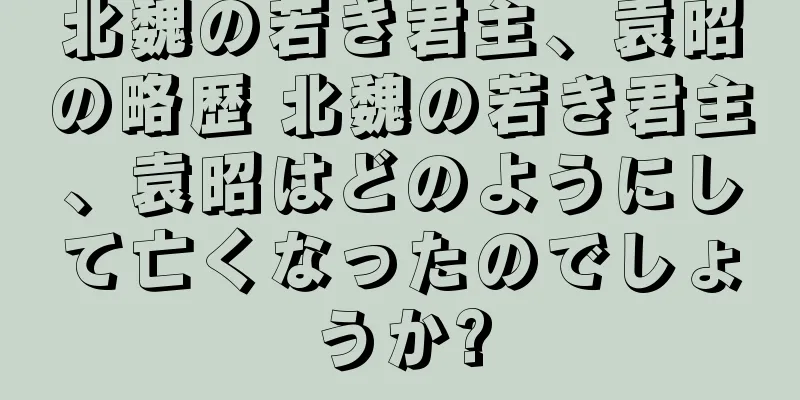 北魏の若き君主、袁昭の略歴 北魏の若き君主、袁昭はどのようにして亡くなったのでしょうか?