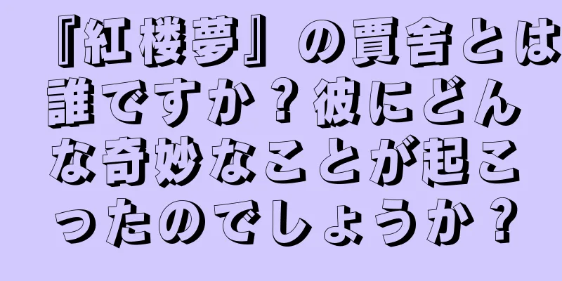 『紅楼夢』の賈舍とは誰ですか？彼にどんな奇妙なことが起こったのでしょうか？